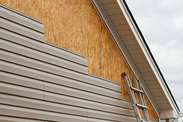 Professional Siding Repair technician working in Ivor, VA